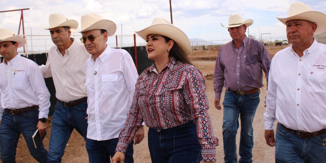 Reapertura de la frontera por Estados Unidos reconoce la sanidad ganadera de Sonora: Celida López
