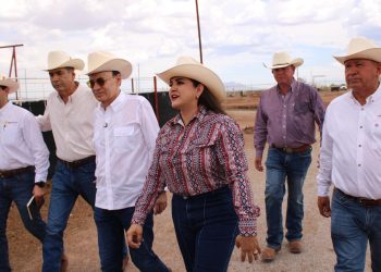 Reapertura de la frontera por Estados Unidos reconoce la sanidad ganadera de Sonora: Celida López