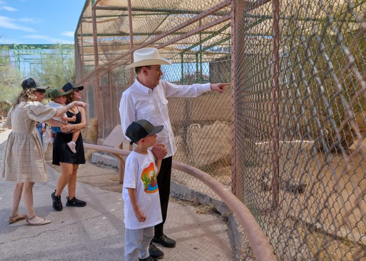 Gobernador Durazo reaviva Centro Ecológico de Sonora; se registran 73 nacimientos en 2026