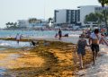 México anuncia inversión de 115 millones de dólares para contener el sargazo en el Caribe