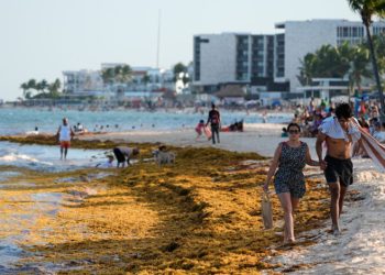 México anuncia inversión de 115 millones de dólares para contener el sargazo en el Caribe