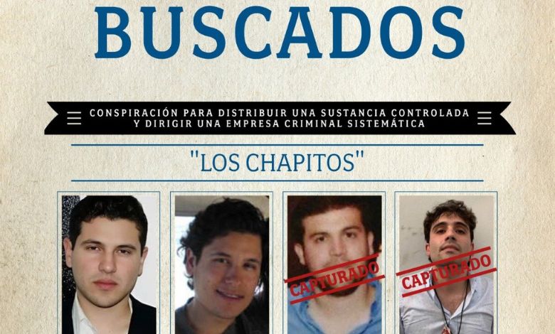 EU ofrece millonaria recompensa por hijos de “El Chapo”