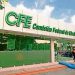Reporta CFE ganancias de 48 mil mdp en 2026