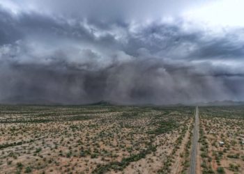 Lluvias fortalecen cuencas y generan escurrimientos hacia las presas de Sonora: SAGARHPA
