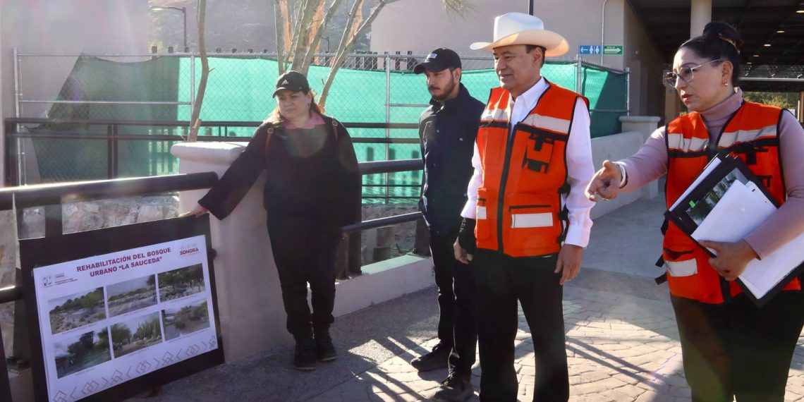 Impulsa Durazo nueva etapa de La Sauceda con mirador escénico y rutas al aire libre