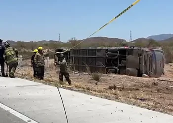 “Camionazo” deja una mujer fallecida en la carretera Guaymas-Hermosillo