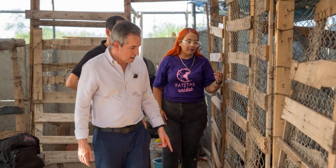 Omar Del Valle Colosio continúa la lucha por el bienestar animal
