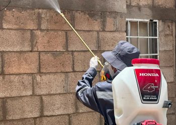Destaca Salud Sonora acciones para prevenir la fiebre manchada