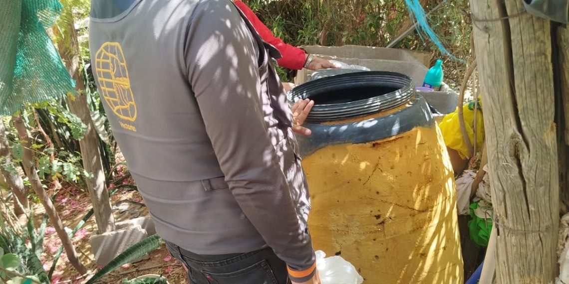 Recientes lluvias favorecen la presencia del mosquito transmisor del dengue; Salud Sonora llama a prevenir eliminando criaderos
