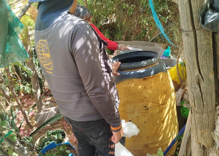 Recientes lluvias favorecen la presencia del mosquito transmisor del dengue; Salud Sonora llama a prevenir eliminando criaderos