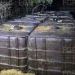 Aseguran 8 mil litros de combustible tras localizar toma clandestina en Hermosillo