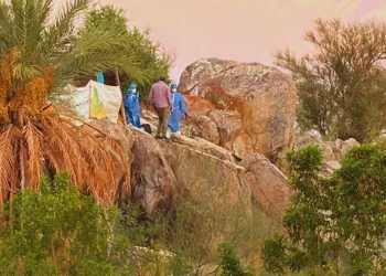 Localizan a dos personas sin vida en la colonia Coloso Bajo de Hermosillo
