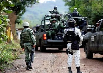 Detecta Defensa 625 narcominas y drones en Michoacán