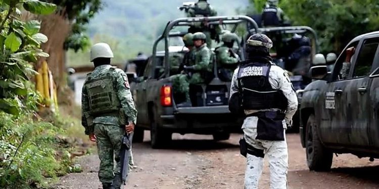 Detecta Defensa 625 narcominas y drones en Michoacán
