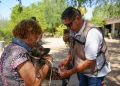 Sonora suma 74 casos y 32 muertes por fiebre manchada