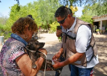Sonora suma 74 casos y 32 muertes por fiebre manchada