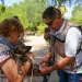 Sonora suma 74 casos y 32 muertes por fiebre manchada