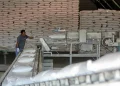 Sheinbaum: “noticia extraordinaria” incremento de 512% en la exportación de azúcar a EU