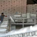 Sheinbaum: “noticia extraordinaria” incremento de 512% en la exportación de azúcar a EU