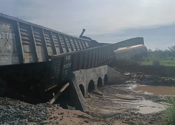 Descarrila tren de Ferromex en Naco en el ejido Cuauhtémoc