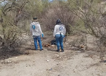 Hallan dos cuerpos en fosas al sur de Hermosillo