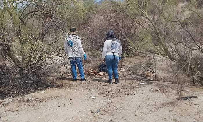 Hallan dos cuerpos en fosas al sur de Hermosillo