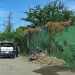 Asesinan a joven a balazos en la colonia Las Minitas