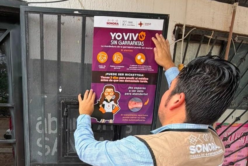 Reitera Salud Sonora que una casa limpia es clave para eliminar la rickettsia