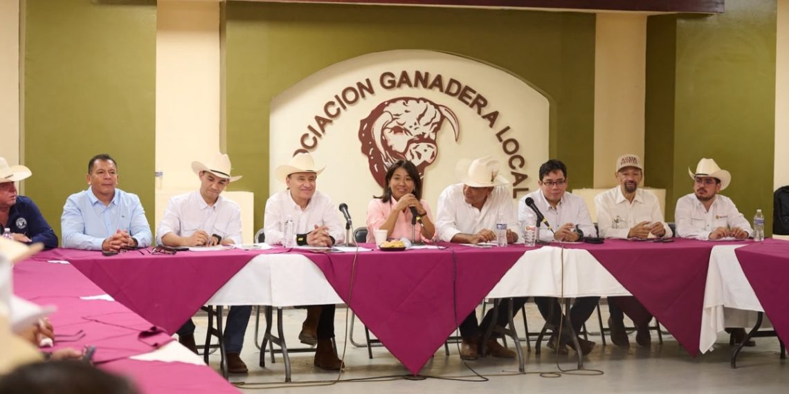 Sonora reactiva exportación de ganado a EU; gestiones de Sheinbaum y Durazo abren la frontera