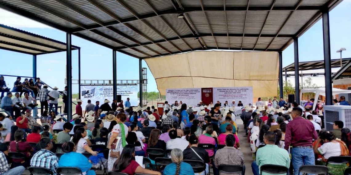 Inician en Sonora Asambleas Regionales para la consulta sobre la propuesta de Ley General de Derechos de los Pueblos Indígenas y Afromexicanos