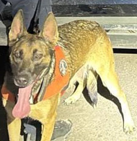 PESP refuerza acciones de seguridad con intervención de su Unidad K-9