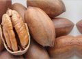 China impone aranceles a las nueces pecanas de México