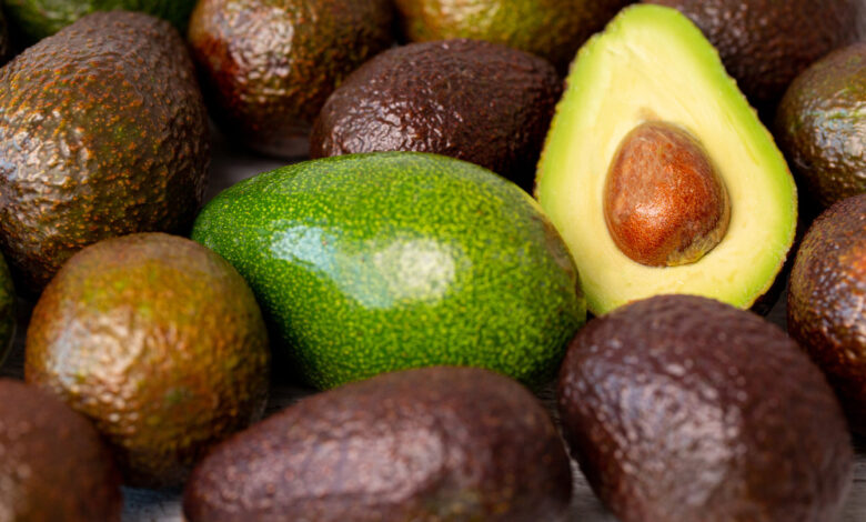 Suspensión de exportaciones de aguacate a EU genera afectación
