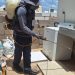 Salud Sonora intensifica acciones contra la rickettsia con fumigación de viviendas