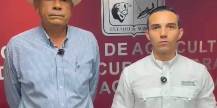 Gobierno de Sonora refuerza vigilancia sanitaria ante detección de gusano barrenador