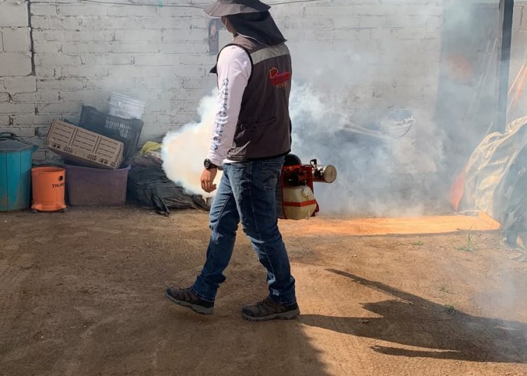 Refuerza Salud Sonora fumigación contra el dengue en viviendas y 95 mil hectáreas