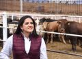 Celida López destaca importante logro del gobierno federal y de Sonora con reapertura de cruce ganadero por Agua Prieta