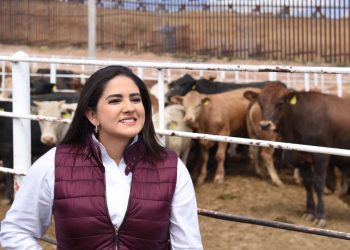 Celida López destaca importante logro del gobierno federal y de Sonora con reapertura de cruce ganadero por Agua Prieta