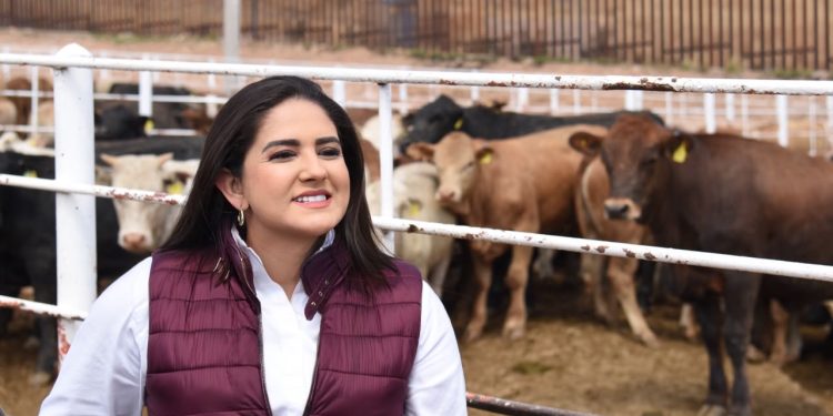 Celida López destaca importante logro del gobierno federal y de Sonora con reapertura de cruce ganadero por Agua Prieta