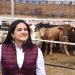 Celida López destaca importante logro del gobierno federal y de Sonora con reapertura de cruce ganadero por Agua Prieta