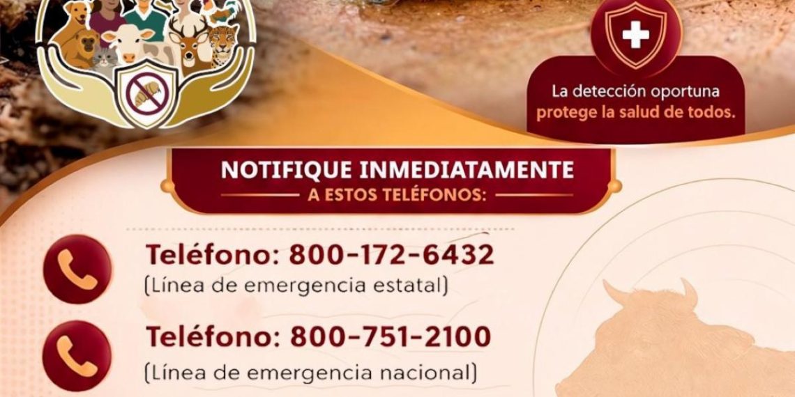 Durazo y Sheinbaum suman a Cajeme a la estrategia nacional “México Imparable” para prevenir violencias