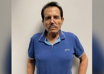 Detención de “Mayo” debería ser una victoria de México y EU: Salazar
