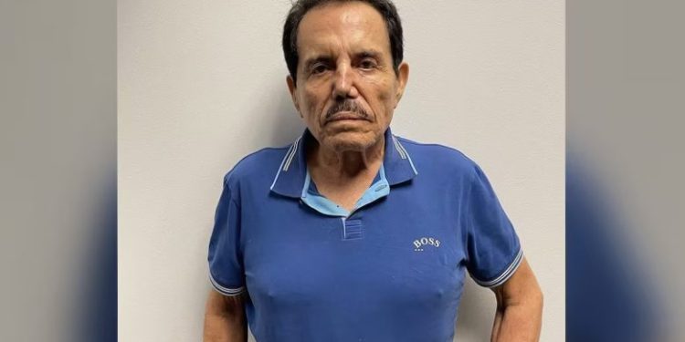 Detención de “Mayo” debería ser una victoria de México y EU: Salazar