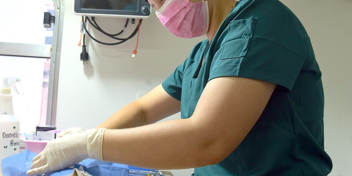 Anuncian jornada de esterilización gratuita del 24 al 29 de agosto