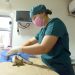 Anuncian jornada de esterilización gratuita del 24 al 29 de agosto