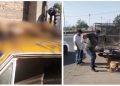 Cateo permite rescatar dos perros y localizar a otro sin vida en casa de San Luis Río Colorado
