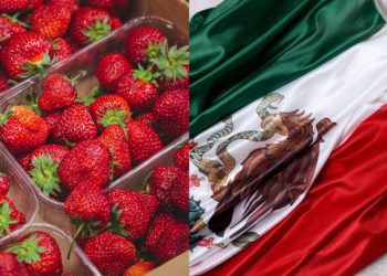 Preocupa a México decisión de EU sobre “dumping” sobre la fresa