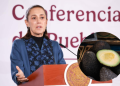 Sheinbaum garantiza seguridad permanente a productores de aguacate