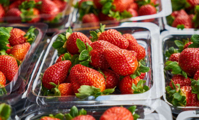 EU impone cuotas compensatorias de hasta 5.28% a fresas mexicanas