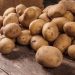 Compiten en desventaja productores mexicanos de papa